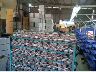 WhatsApp Image 2023-11-10 at 7.13.07 PM